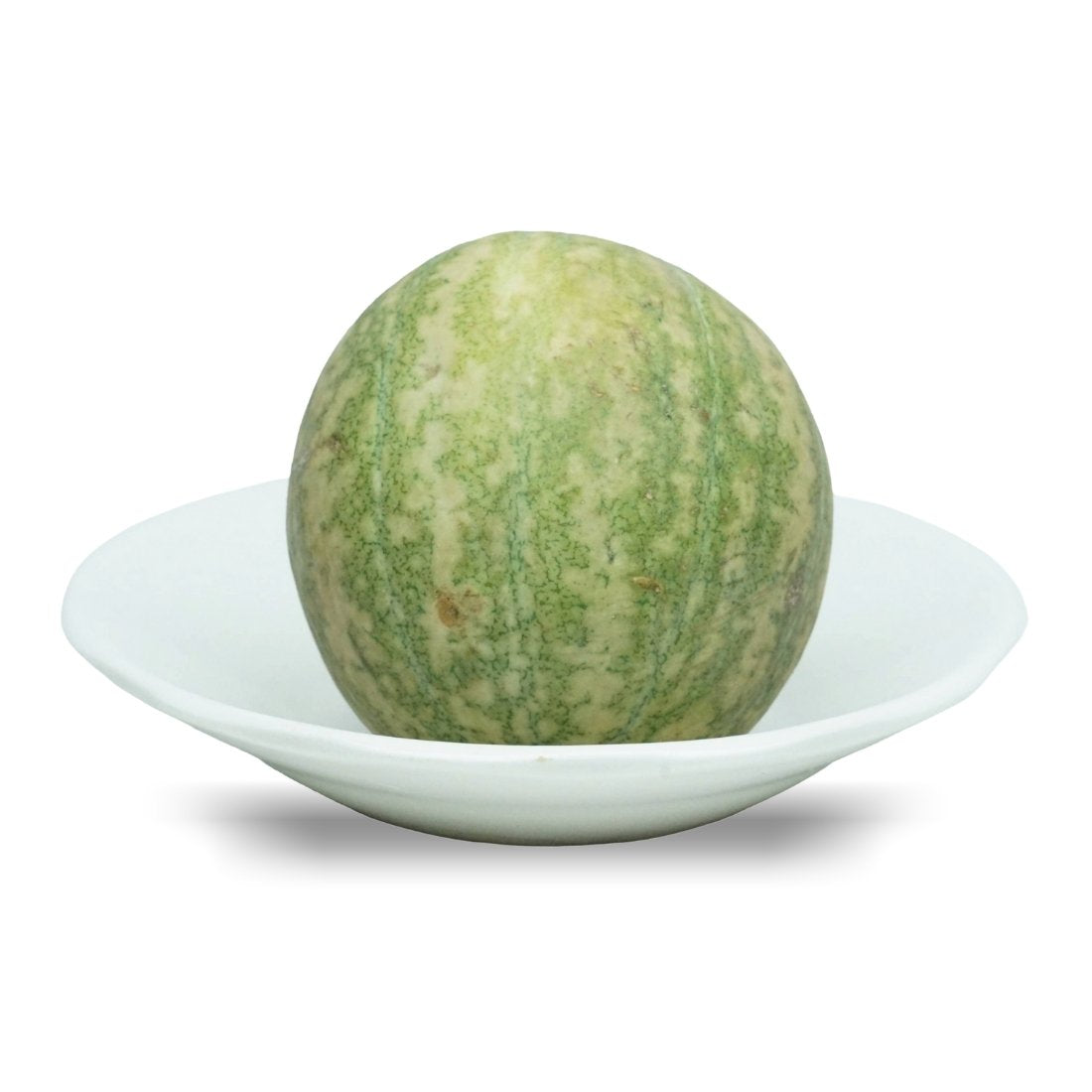نبات الحنظل