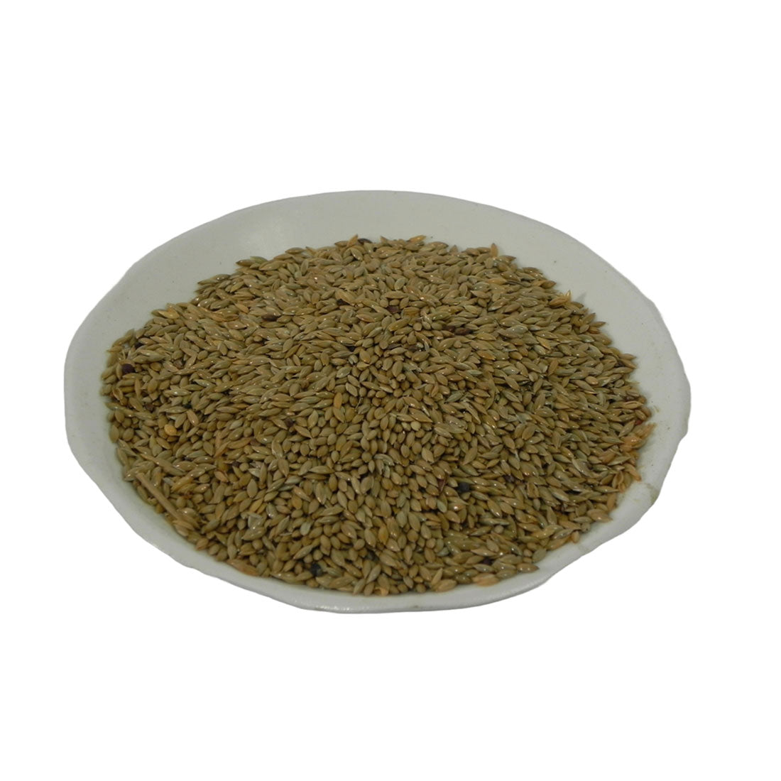 زوان طويل
