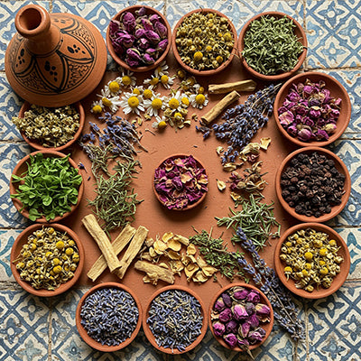 أعشاب مغربية